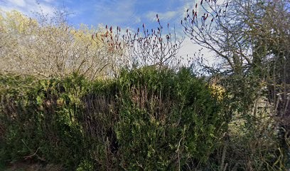 Entreprise Micallef, Plombier à Servant