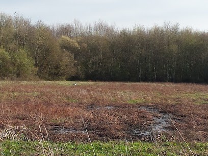 Cavalier Soyer, Plombier à Rivière-Saas-et-Gourby