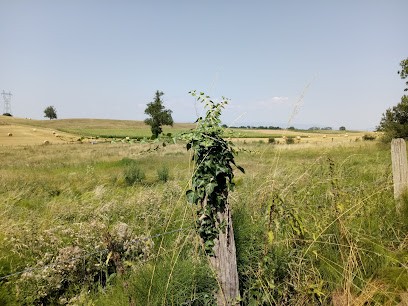 Jocteur Albert, Plombier à Roche