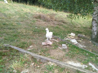 Thizy Christophe SARL, Plombier à Marcenod