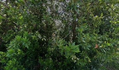 Le Guern Stéphane, Plombier à Trégunc