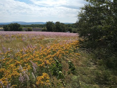 MARTEL Pierre et Jean, Plombier à Revest-du-Bion