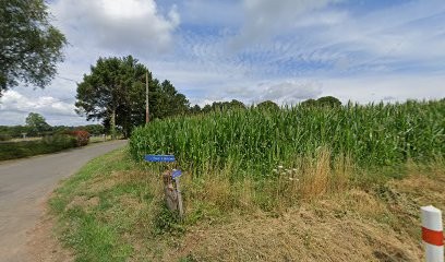 Renault SARL, Plombier à Fougerolles-du-Plessis