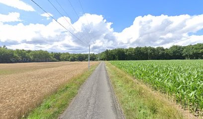 Gonnin Christophe, Plombier à Chenu