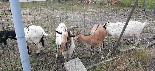 Gartion Jean-Charles, Plombier à Divatte-sur-Loire
