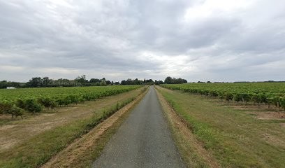 R'pure, Plombier à Martigné-Briand