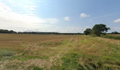 Mangeard Dominique, Plombier à Varennes-lès-Narcy
