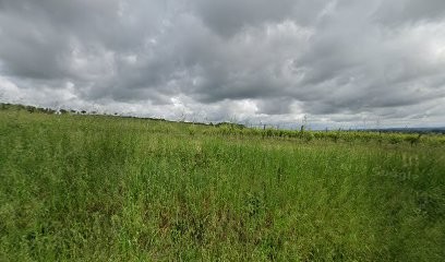Cael Chauffage, Plombier à Lisle-sur-Tarn