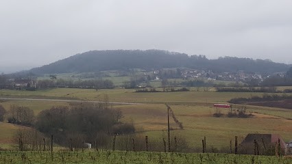 Grand Christian, Plombier à Montmorot