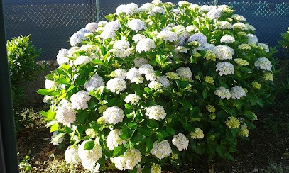Vedrenne Sarl, Plombier à Pauillac