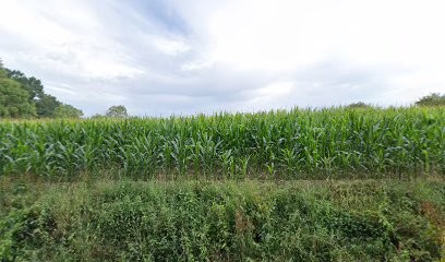 Lucas Techni-Confort SARL, Plombier à Pleudihen-sur-Rance