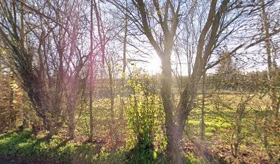 Jamet Arnaud, Plombier à Flers