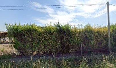 BOIS-ENERGIE 49, Plombier à Tuffalun