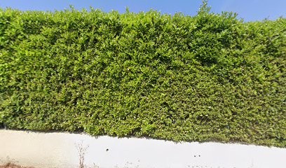 Coramat Plomberie, Plombier à Saint-Julien-de-Peyrolas