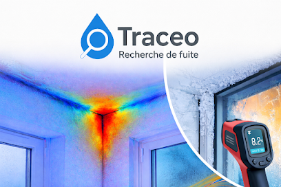 Traceo Plombier à Villeurbanne