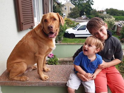 TFC, Plombier à Wittenheim