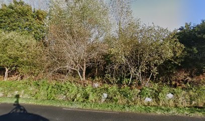 Riva Ricardo, Plombier à Trégastel