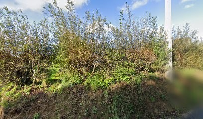 Ollivier Joseph, Plombier à Penvénan