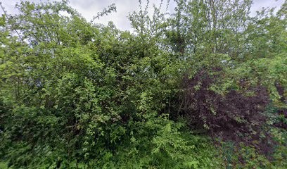 Alain Patrice, Plombier à Vimoutiers