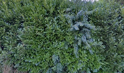 CHD Energies, Plombier à Saint-Quentin-sur-Isère