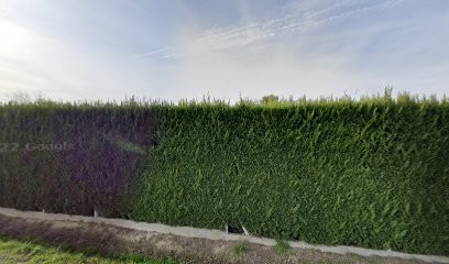 Labarbe David, Plombier à Sarbazan