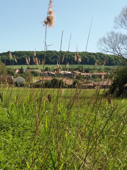 Multi Chauff, Plombier à Téterchen