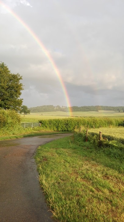 Merle Michel Rene, Plombier à Germenay