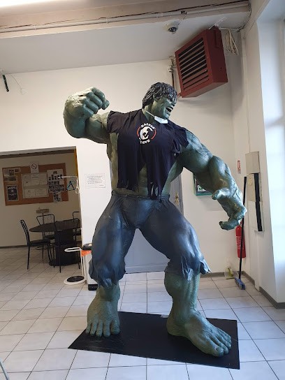 Vagner Sarl, Plombier à Saint-Avold