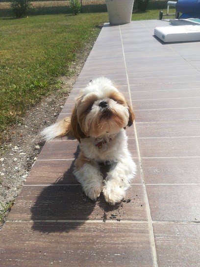 Geneau Pierrick, Plombier à Saint-Seurin-de-Palenne