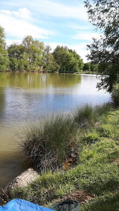 Asete, Plombier à Rouffiac-Tolosan