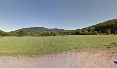 Parisot Régis, Plombier à Fresse