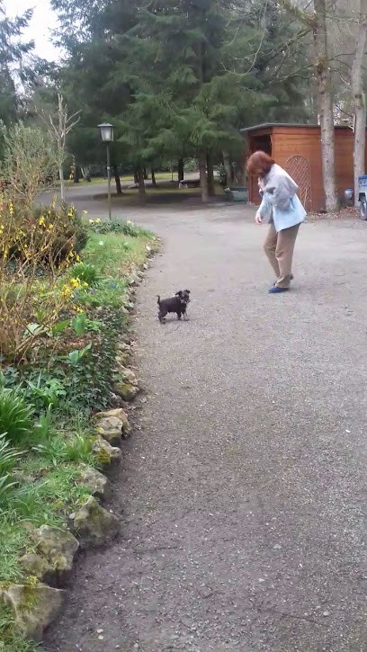 Fillaudeau Gilles, Plombier à La Chapelle-Saint-Laud