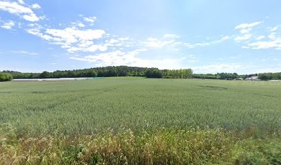 Neau Plomberie SARL, Plombier à Neuillé
