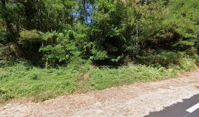 Natali Régis, Plombier au Collet-de-Dèze