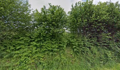 AVENIR HABITAT / A. BARAZER, Plombier à Elliant