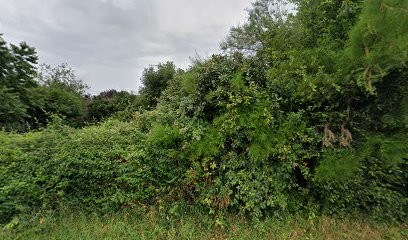 Entreprise Hubert Maurice, Plombier à Tauxigny-Saint-Bauld
