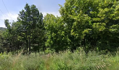 Morin Plomberie, Plombier à Venterol