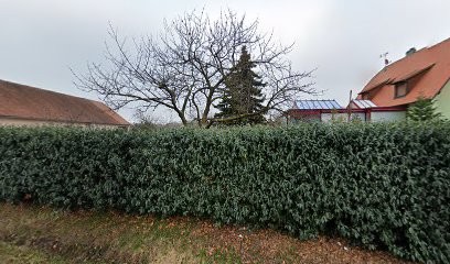 Ehrhart Guy, Plombier à Saint-Pierre