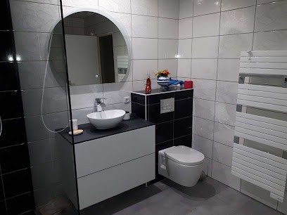 De Sa Alexandre, Plombier à Sorbiers