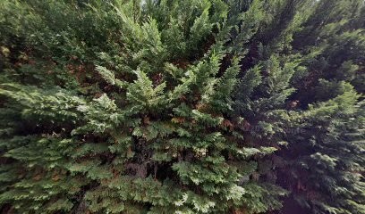 Vincent Philippe EURL, Plombier à Saint-Paul-lès-Dax