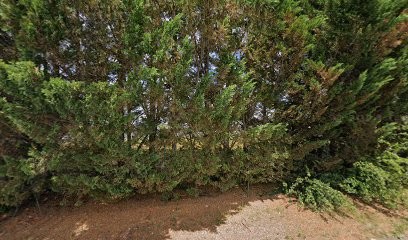 Ouzeneau Sébastien, Plombier à Saint-Genis-de-Saintonge