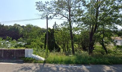 Guex Alexandre, Plombier à Saint-Paul-le-Jeune