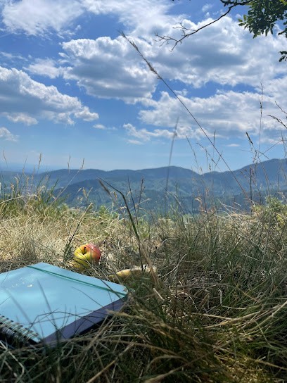 Ruffio Et Fils (SARL), Plombier à Moosch