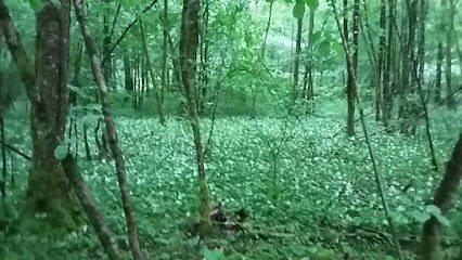 Danyzy Cyril, Plombier à Nogent