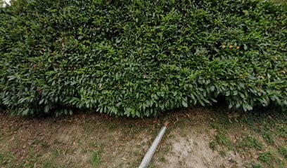 Delgado Jose, Plombier à Pallud