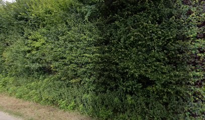 Mouette David, Plombier à Genac-Bignac