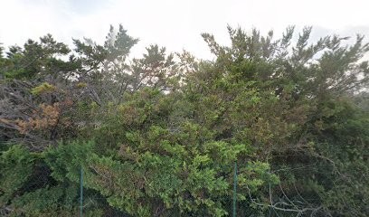 Chapuis Plomberie, Plombier à Vic-la-Gardiole