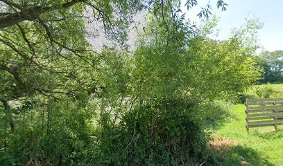 Le Ménach Jean-Luc, Plombier à Riec-sur-Bélon