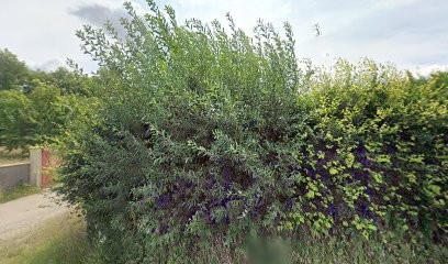 Daubeuf Remi Pascal, Plombier à Ouainville