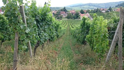 Jmd Sanitaire &Thermique, Plombier à Mittelbergheim